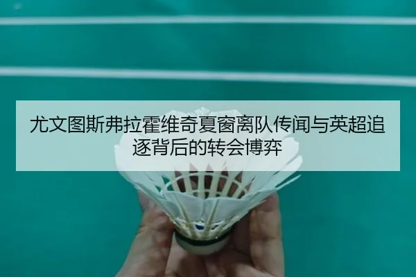 尤文图斯弗拉霍维奇夏窗离队传闻与英超追逐背后的转会博弈（pg）